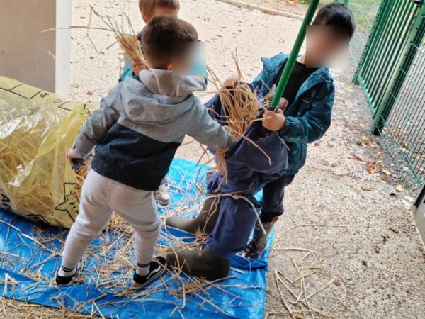 IMG-20261023-WA0007